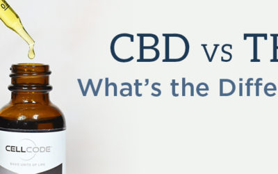 CBD vs THC, What’s the Difference?